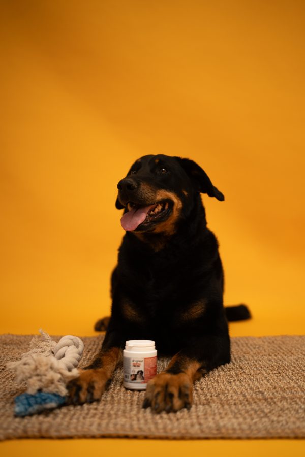 Dogteur Dental FRESH – Image 3