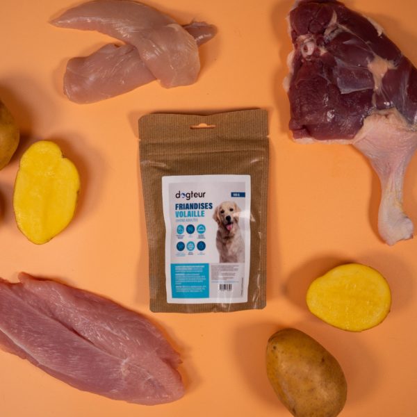Dogteur friandises chien sans céréales volaille 100 g – Image 2