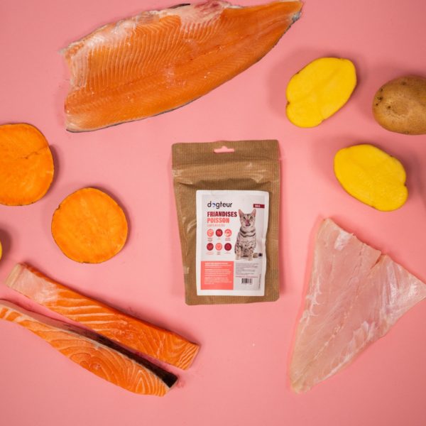 Dogteur Friandises Chat sans céréales Poisson 100 g – Image 2