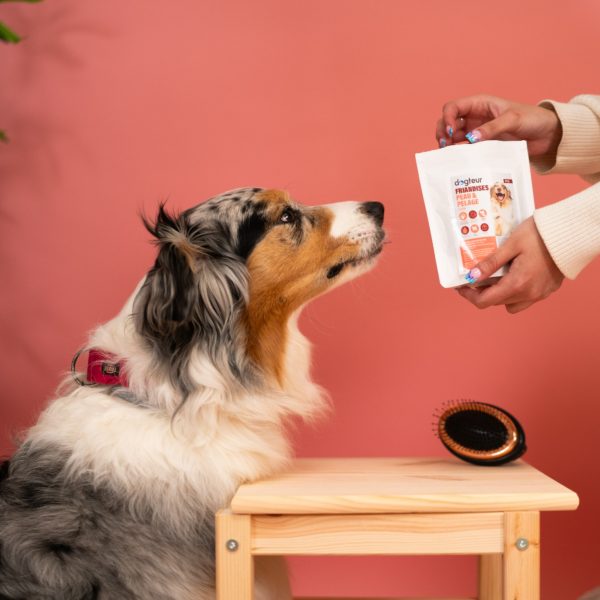 Dogteur Friandises Chien Peau et Pelage 70 g – Image 2