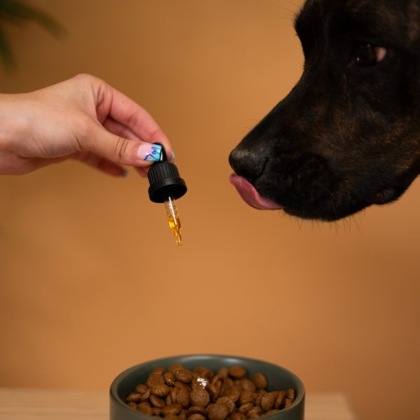 Dogteur Huile de Chanvre – Image 2