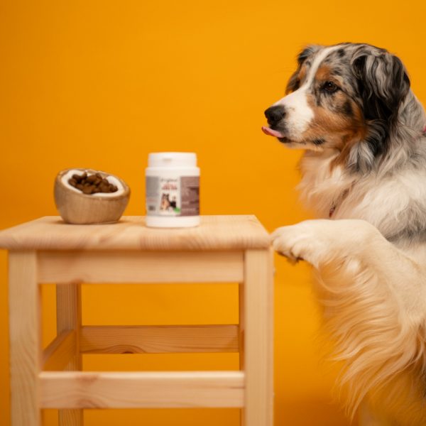 Dogteur Répuls' vers Bio Chien et Chat 100 g – Image 2