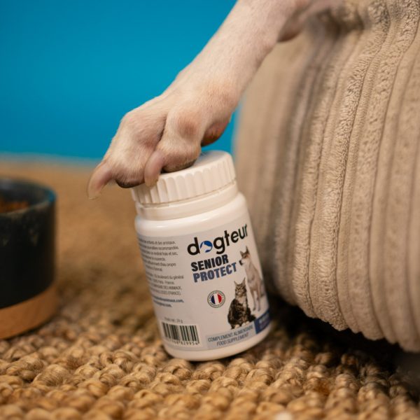 Dogteur Senior Protect 60 gélules – Image 3