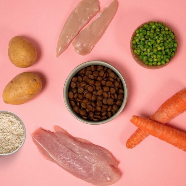 Croquettes premium low grain chiens peu actifs – Image 4